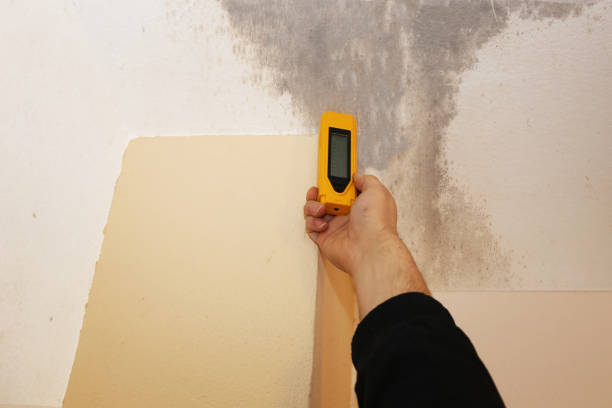 Springfield, SD Mold Removal Company