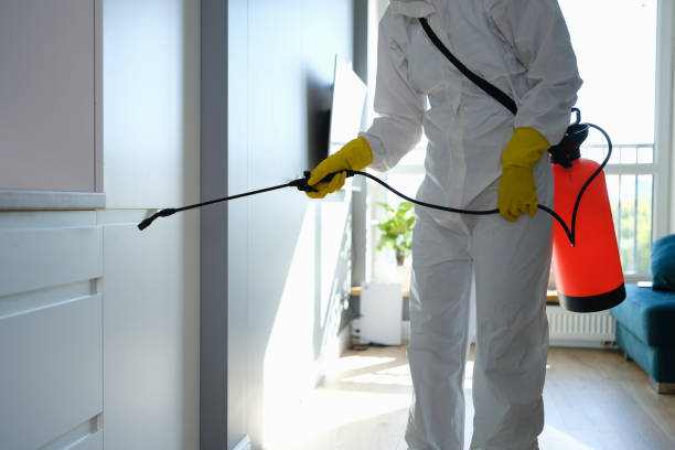 Best Mold Remediation for Healthcare Facilities  in Springfield, SD
