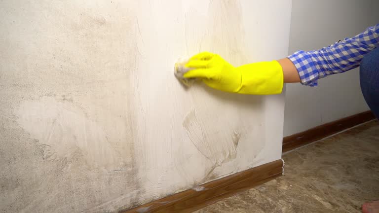Best Airborne Mold Testing  in Springfield, SD