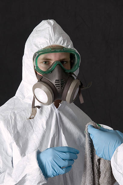 Best Crawl Space Mold Remediation  in Springfield, SD